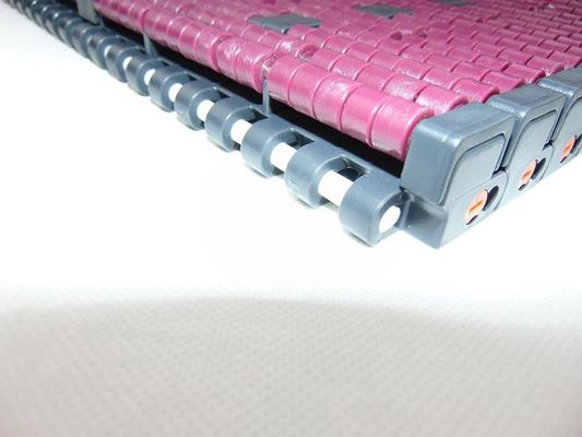 MARBELT 1005LBP LOW BACK PRESSURE CHAINS WITH DOUBLE POSITRACKS MATERIALS POM PURPLE FOR ACCUMULATE TABLE